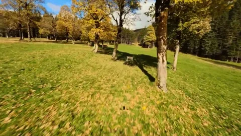 Beautiful Trees and Landscape in Nature Stock Footage 214166830