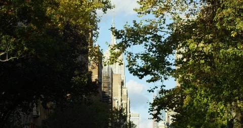 Beautiful Trees In Fall With Incredible Skyscrapers And Empire State Building Stock Footage 112559742