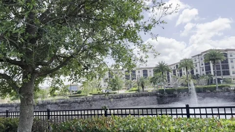 Beautiful trees that help keep the environment free of pollution. Stock Footage 235616469