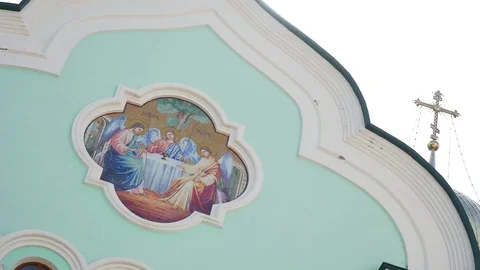 Beautiful trees on sky background,tree,sky Stock Footage 82946847