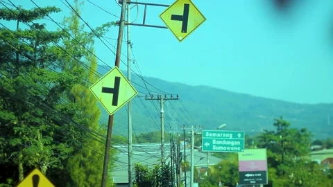 Beautiful trees on the way Stock Footage 235411353