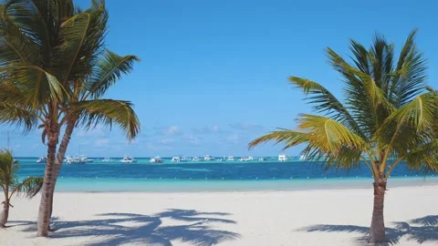 Beautiful tropical background Видео 130984712