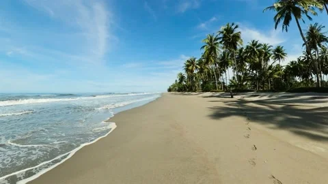 Beautiful tropical beach. Stock Footage 235402239