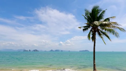 Beautiful Tropical beach with Palm tree and clear sea with clouds in background Stock Footage 327781928