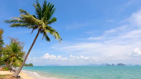 Beautiful Tropical beach with Palm tree and clear sea with clouds in background Stock Footage 327781995