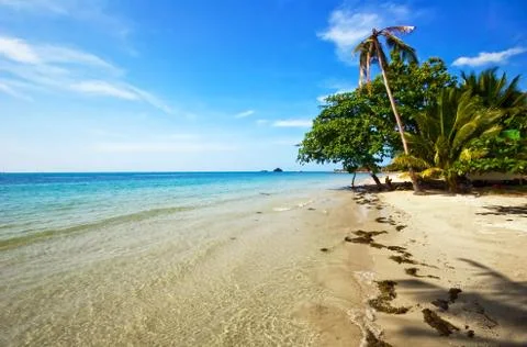 Beautiful tropical beach Stock Photos
