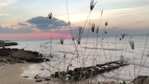 Beautiful Tropical Beach Sunset with Waves and Coastal Grass Foreground Stock-Footage 341505677