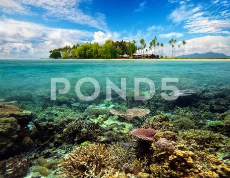 Beautiful tropical coral island Stock Photos
