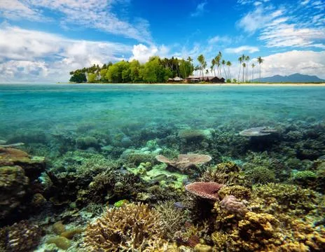 Beautiful tropical coral island Stock Photos