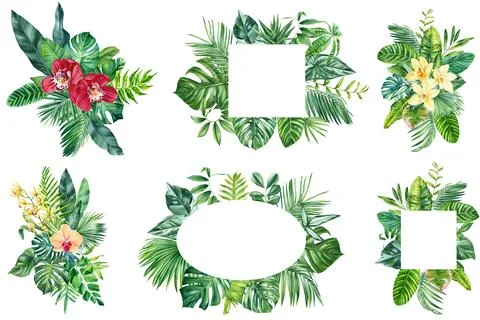 Beautiful Tropical flower leaf illustration. Luxury botanical clipart, Organic Stock Illustration