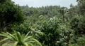 Beautiful tropical forest in, Koh Samui Lamai Island, Thailand HD Footage