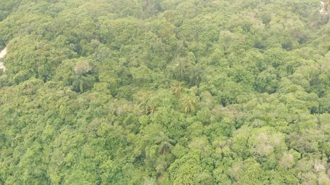 Beautiful tropical forest landscape near the big island, Ilha Grande, Brazil Stockbeeldmateriaal 125284053