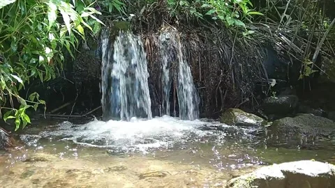Beautiful Tropical Forest Waterfall Flowing Over Natural Rocks Clear Water Stock Footage 329779231