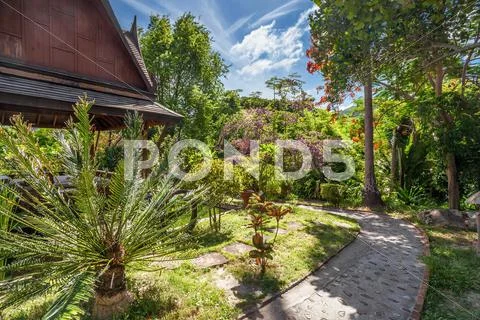 Beautiful tropical garden Stock Photos