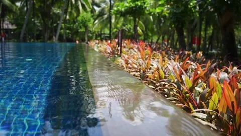 A Beautiful Tropical Poolside Oasis Surrounded by Lush Greenery and Vibrant Video stock 295132573