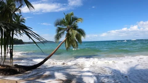 Beautiful tropical Punta Uva Beach, Limon, Costa Rica Stock Footage 169668447