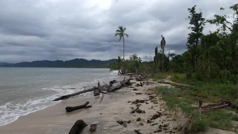 Beautiful tropical Punta Uva Beach, Limon, Costa Rica Видео 169668455