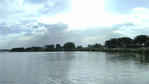 Beautiful Tropical River Landscape Vídeos de archivo 334862924