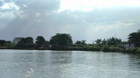 Beautiful Tropical River Landscape Vídeos de archivo 334862986