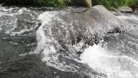 Beautiful tropical river stream Stock Footage 151162915