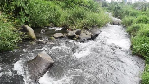 Beautiful tropical river stream Stock Footage 151192716