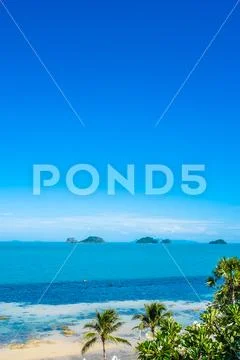 Beautiful tropical sea ocean with coconut palm tree on blue sky white cloud Stock Photos