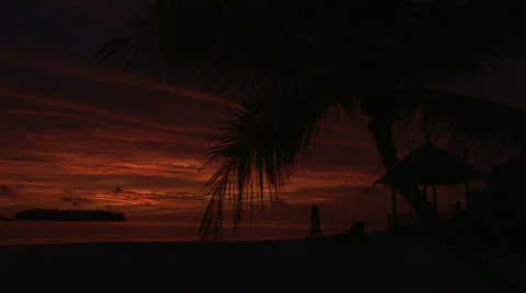 Beautiful Tropical Sunset dramatic sky Stock Footage 477853