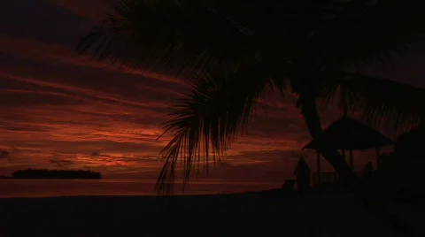 Beautiful Tropical Sunset dramatic sky Stock Footage 477886