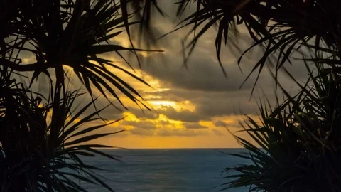 Beautiful tropical sunset. Vídeos de archivo 78140636