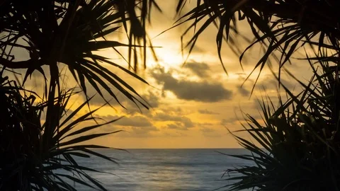 Beautiful tropical sunset. Stock Footage 78552047