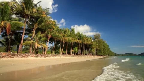 Beautiful tropical sunset with palm trees at beach. Vídeo Stock 70228549