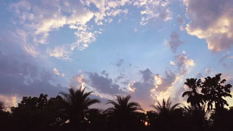 Beautiful tropical view of palm tree against the dramatic sky. Stock Footage 154564009