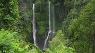 Beautiful Tropical Waterfall. Bali,Indonesia. Cinemagraph Stock Footage