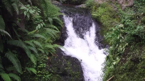 Beautiful Tropical Waterfall Surrounded by Lush Greenery and Flowing Down Rocks Stock Footage 304064145