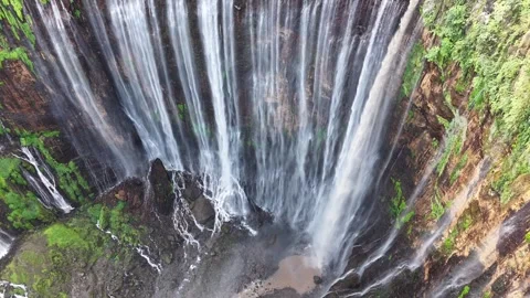 Beautiful tropical waterfall surrounded by lush rainforest viewed from drone Stock Footage 340106546