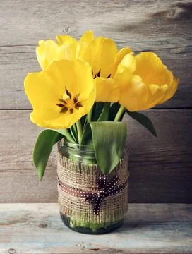 Beautiful tulips Foto stock