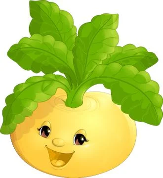 Beautiful turnip on a white background Stock Illustration