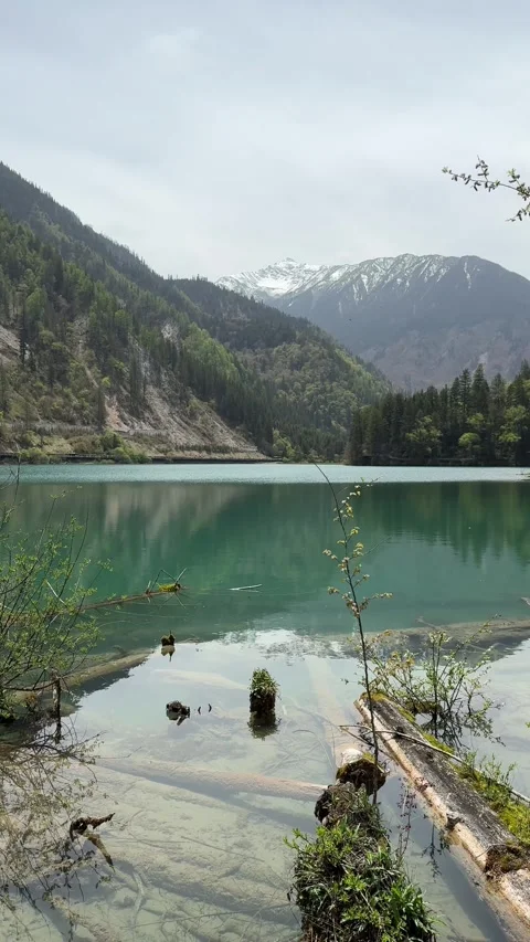 Beautiful Turquoise Lake Surrounded by Forested Mountains in Jiuzhaigou Valley, Vídeos de archivo 337328161