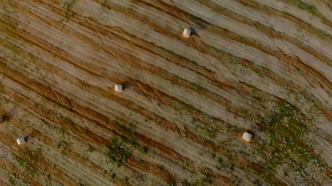 Beautiful Tuscan fields Stock Footage 105545488