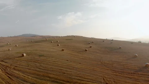Beautiful Tuscan fields Stock Footage 105546304