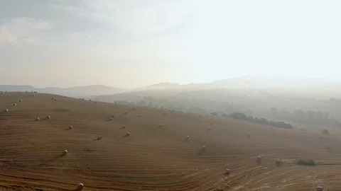 Beautiful Tuscan fields Stock Footage 105546841