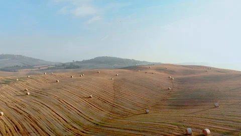 Beautiful Tuscan fields Stock Footage 105546895