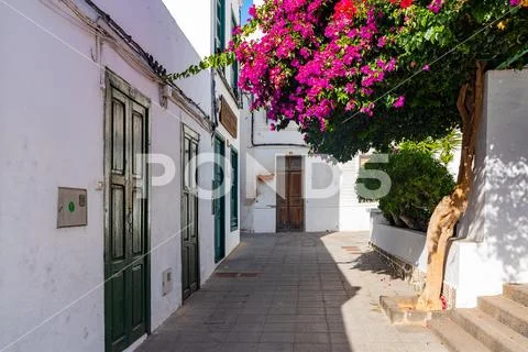 Beautiful typical white houses in Haria with purple flowers, Lanzarote, Canar Stock Photos