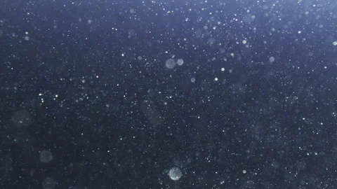 Beautiful underwater bubbles and particles, plankton in close up, 4k Stock Footage