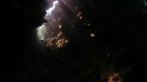 Beautiful underwater cave Stock Footage 537694