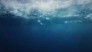 Beautiful Underwater Sea View With Natural Light Rays In Slow Motion Stock Footage