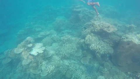 Beautiful underwater shoot 動画素材 130272658
