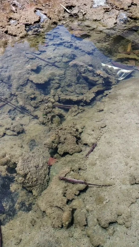 Beautiful underwater view Video stock 127477800