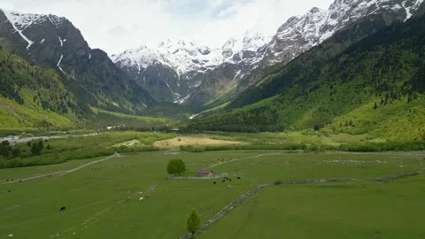 Beautiful valley, alpine meadows in mountains, peaks covered snow, aerial view Stock Footage 277005970