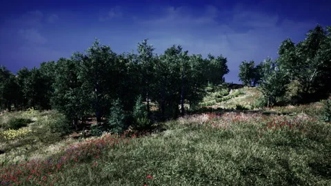 Beautiful valley with green trees Video stock 232676779